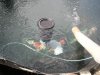 DSCN1098.JPG