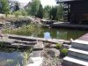 IMG00210-20100523-1449med.jpg