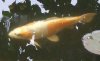 DSCF7540.JPG