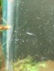 DSCF1474.JPG