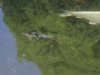3 goromo.jpg