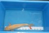 DSC00183 - Kopie.JPG