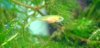 DSCF3215.JPG