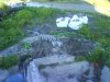 DSC00674.JPG