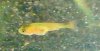DSCF3588.JPG