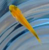 DSCF3738.JPG