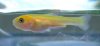 DSCF3776.JPG