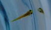 DSCF3688.JPG