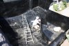 K640_IMG_1825.JPG