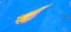 DSCF3993.JPG