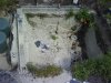DSC00013.JPG
