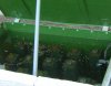 DSCN2179.JPG