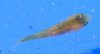 DSCF4307.JPG