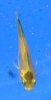 DSCF4312.JPG
