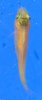 DSCF4287.JPG