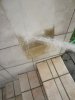 P7030342_Bildgröße ändern.jpg