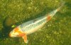 DSCF4692.JPG