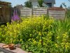S6301584.JPG