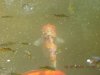 DSCN0992.JPG