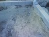 DSC00687.JPG