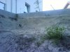 DSC00691.JPG