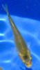 DSCF5364.JPG