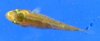 DSCF5371.JPG