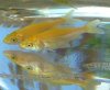 DSCF5481.JPG