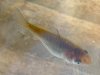 DSCF5470.JPG