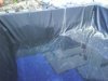 DSC00705.JPG