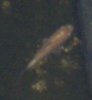 Baby2010web1.JPG
