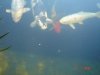 DSC03856.JPG