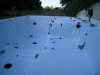 IMG_1484.jpg