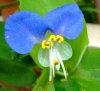 DSCF6724.JPG