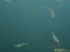 DSCN9718.JPG