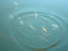 DSCN9705.JPG