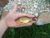 DSC02416.JPG