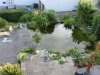 Teich.jpg