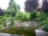 Teich 4.jpg