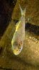 DSCF8848.JPG