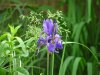 Test-Olympus 8 072.jpg