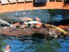 IMG_2075.jpg