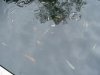 DSC04001.JPG