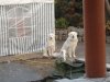 DSC01342.JPG