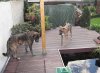 Bilder_090.jpg