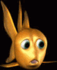 tom.gif