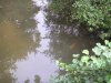 P8240123_600x449.JPG