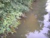 P8240124_600x449.JPG