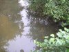 P8240121_600x449.JPG