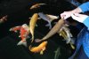 DSC00407.JPG
